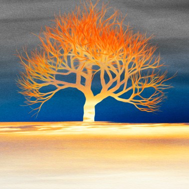 ジクレー版画「夕映えの木（ミニ）」